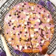 Vegan Blueberry Cake - featured image-5699