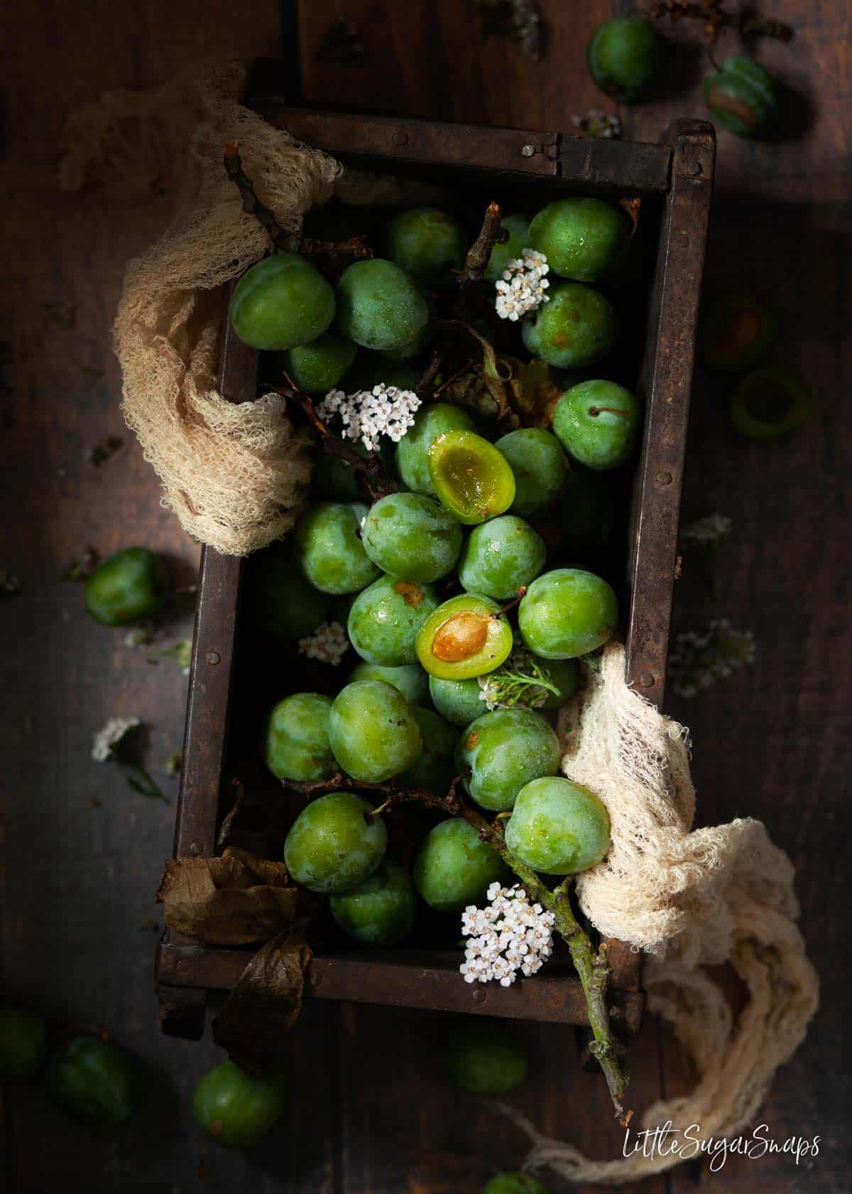 A wooden box holding lots of greengages.