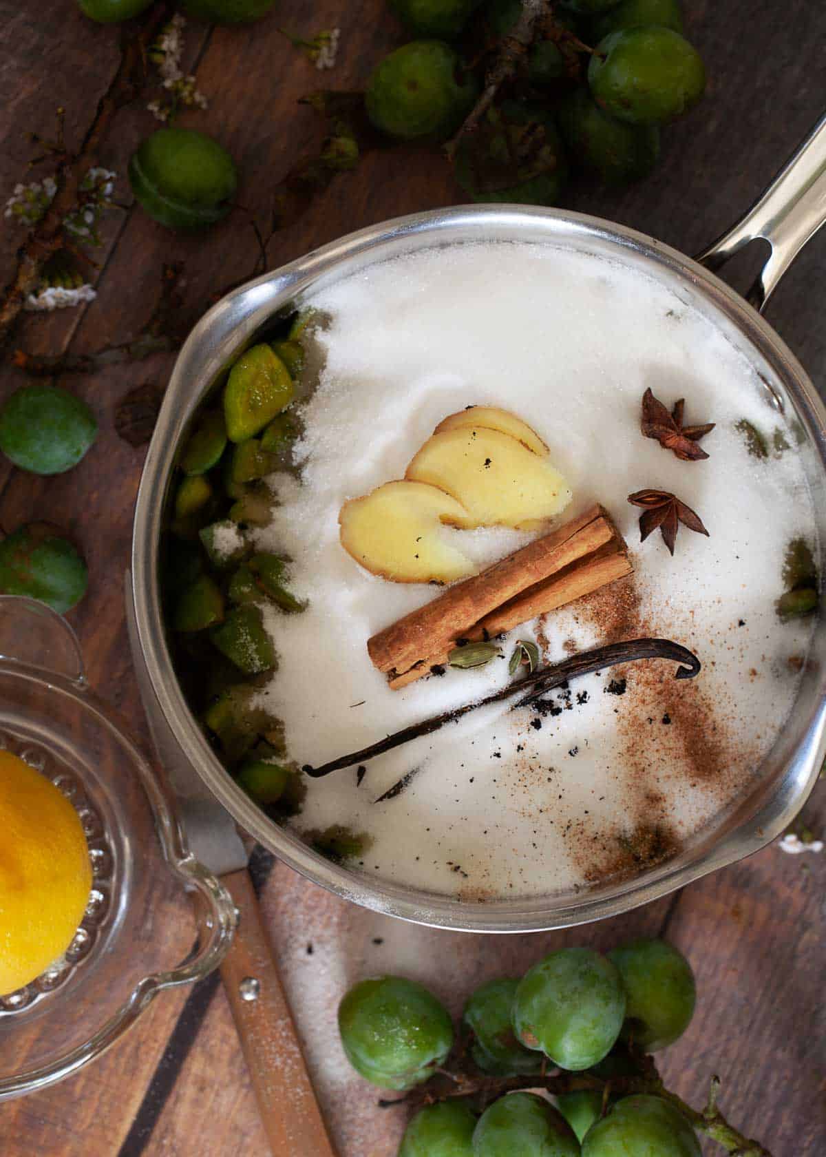 Ingredients in a saucepan - fruit, sugar, ginger, cinnamon, vanilla, star anise, nutmeg