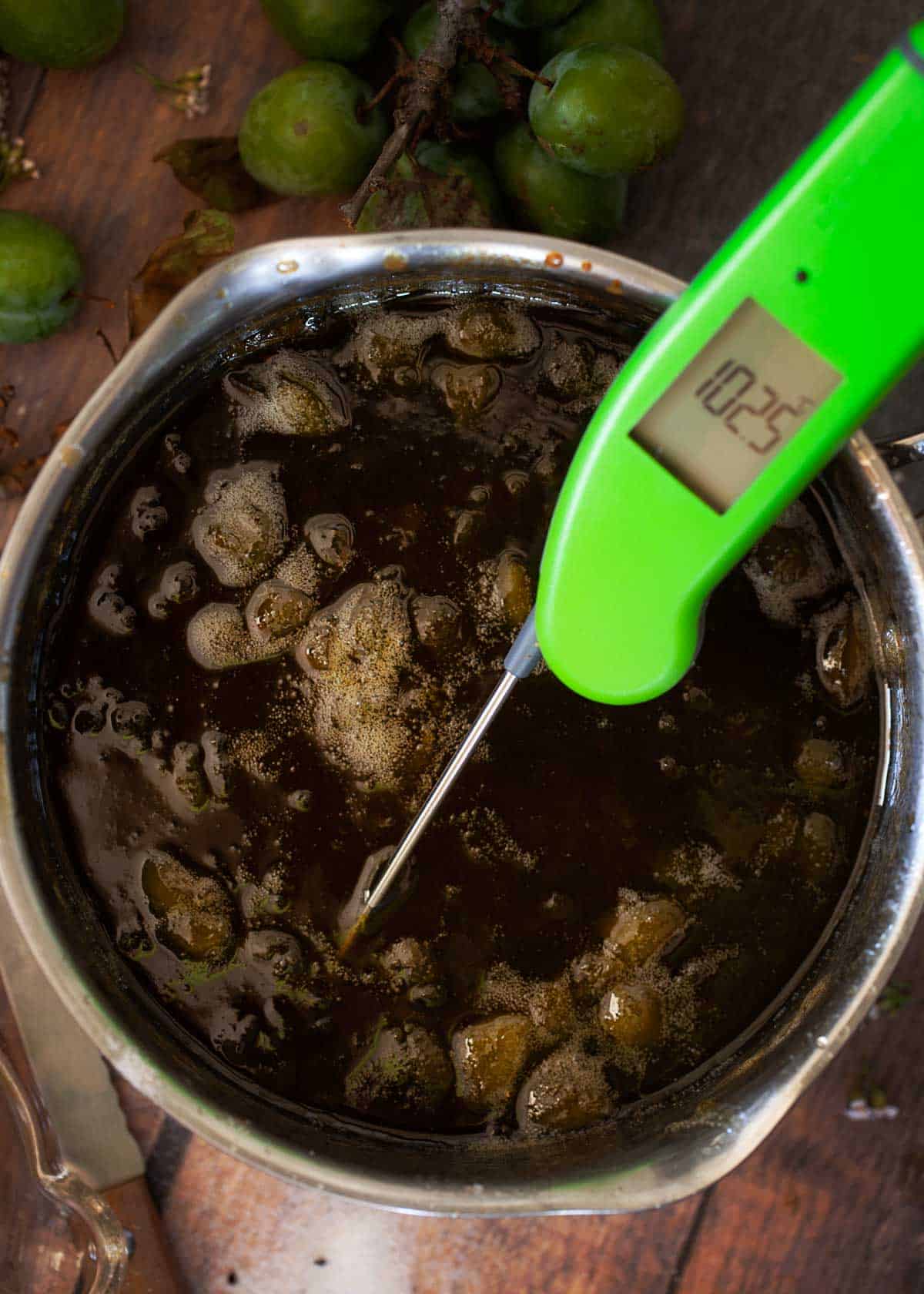 Taking the temperature of fruit preserve in a saucepan with a thermometer