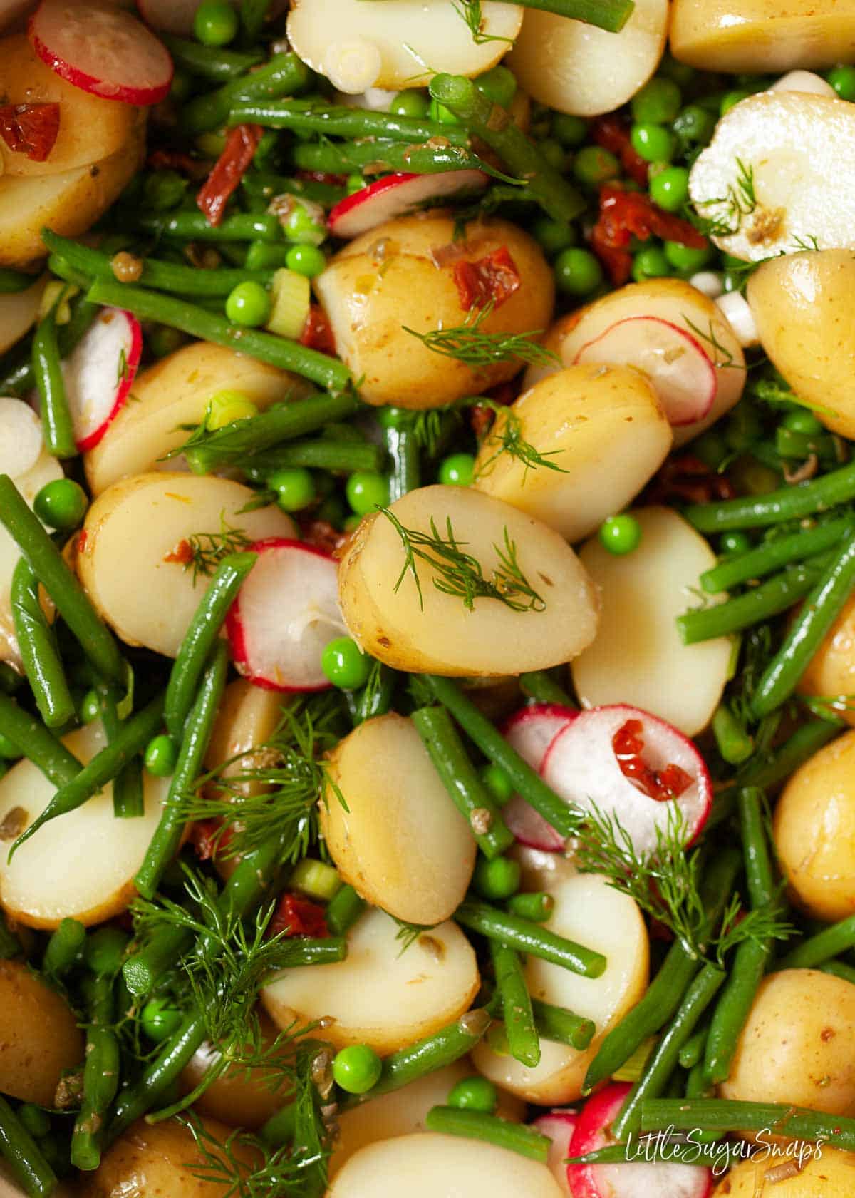 Close up of mixed vegetable potato salad with radish and sundried tomatoes