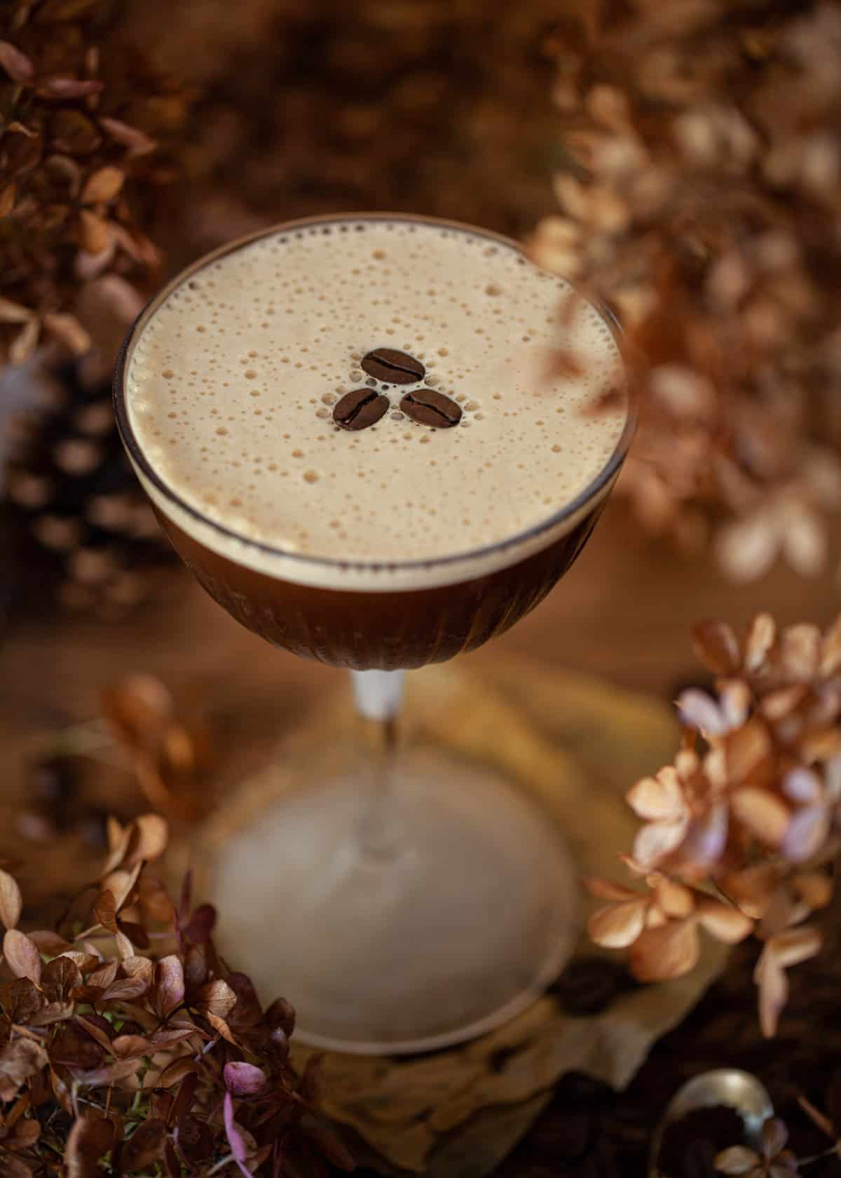 An espresso coffee martini Ancho Reyes Cocktail