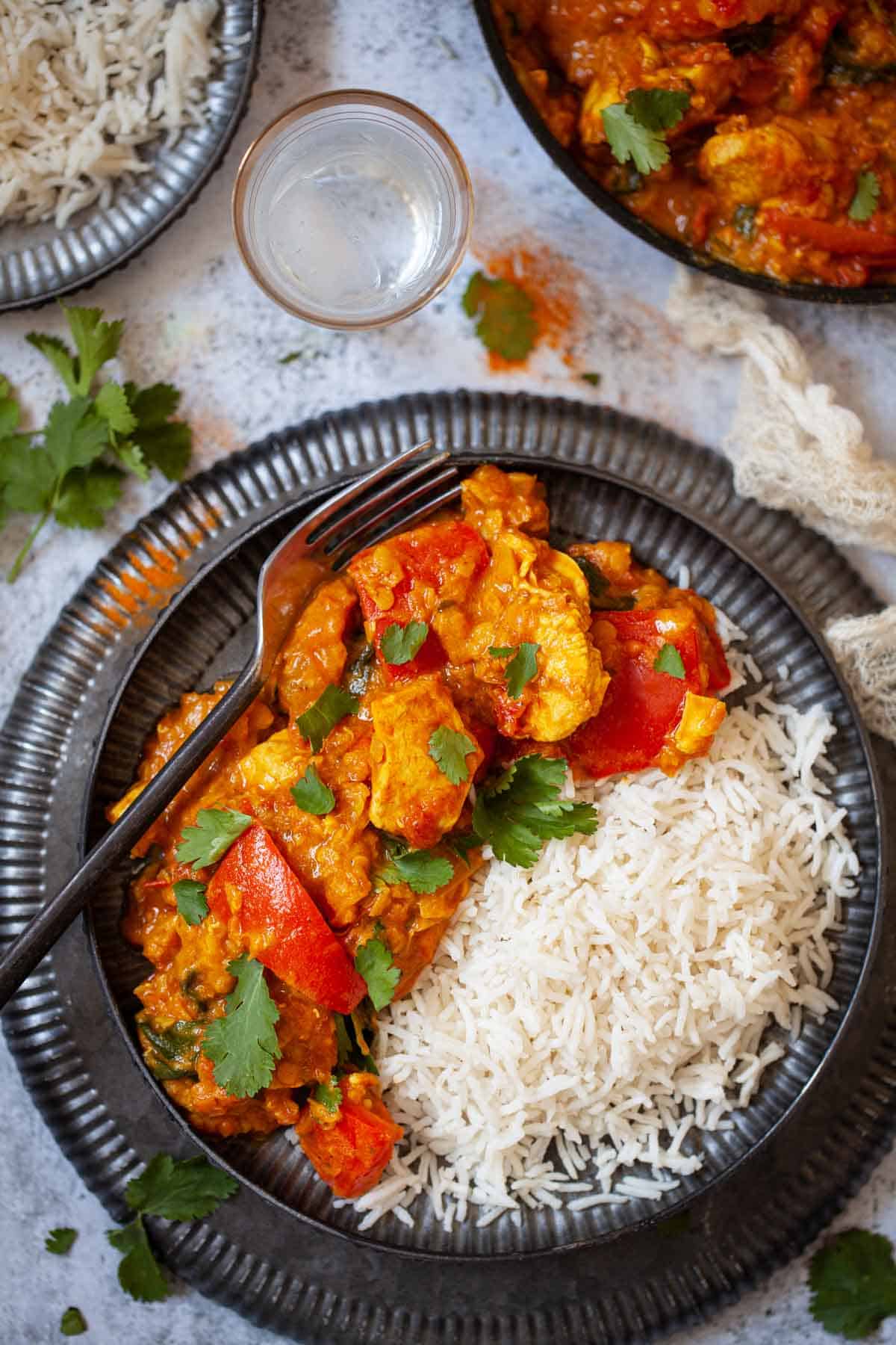 A plate of curry with a portion of rice alongside