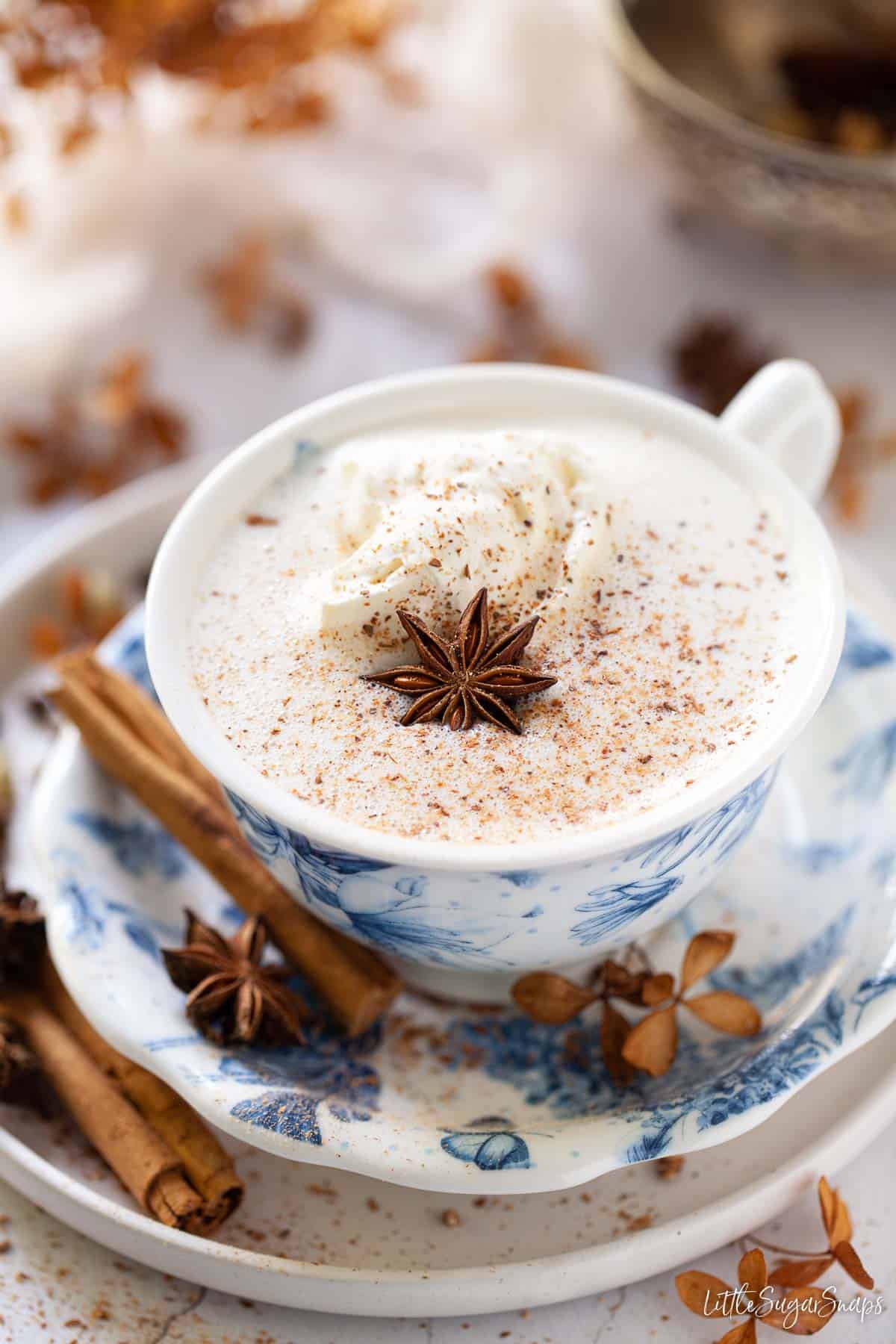 A cup of frothy spiced hot chocolate with cream, ground spices and star anise garnish