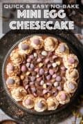 Overhead view of an Easer themed cheesecake with mini eggs on top with text overlay