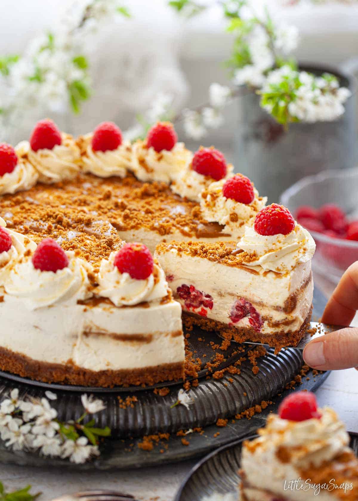 Person serving a slice of biscoff cheesecake with rasberries