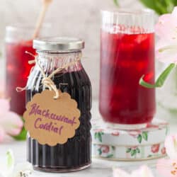 A bottle of blackcurrant cordial and a drink made from it