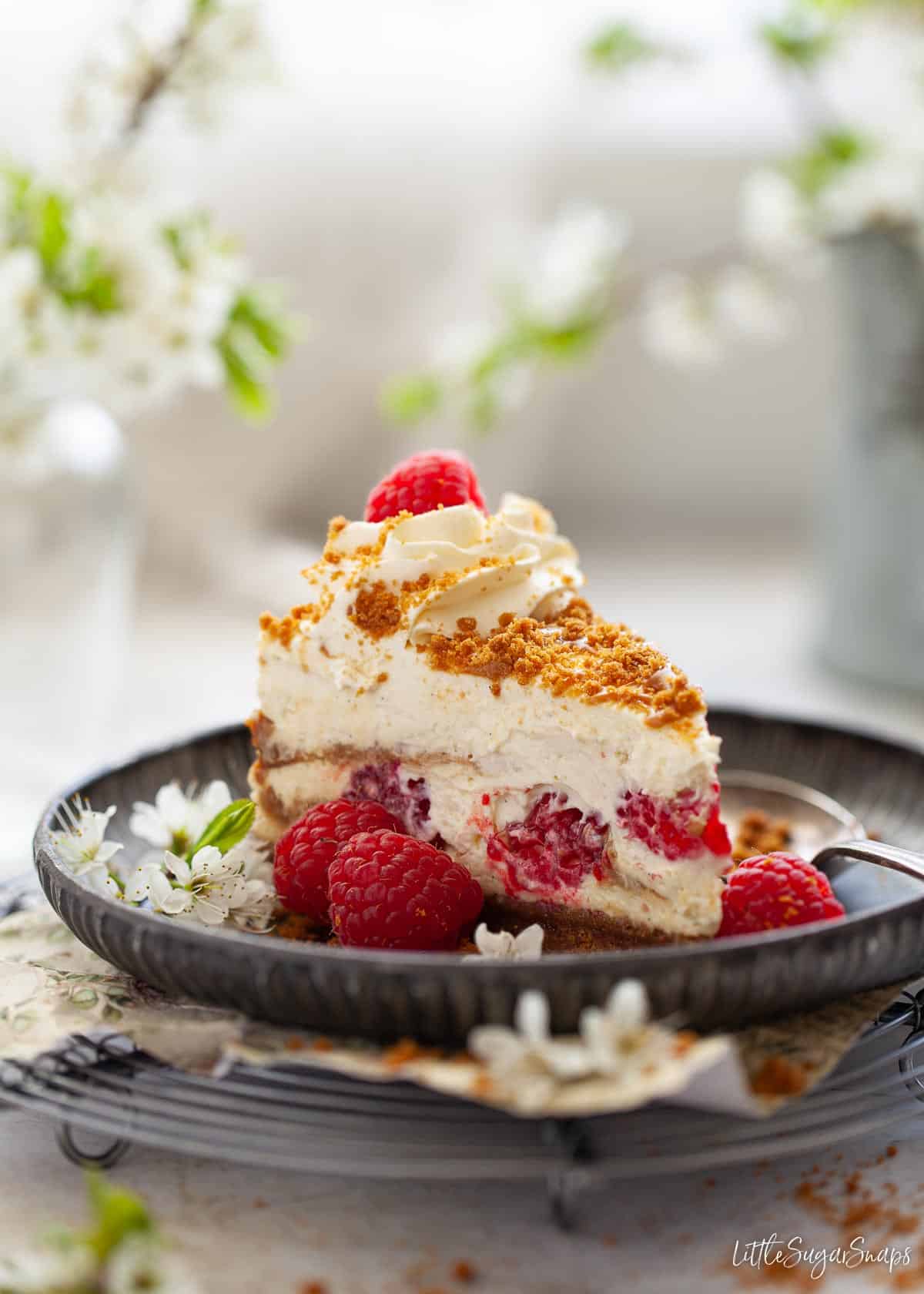 A slice of raspberry and biscoff cheesecake and a plate