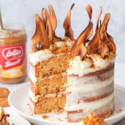 Biscoff Cake with Pear and White Chocolate