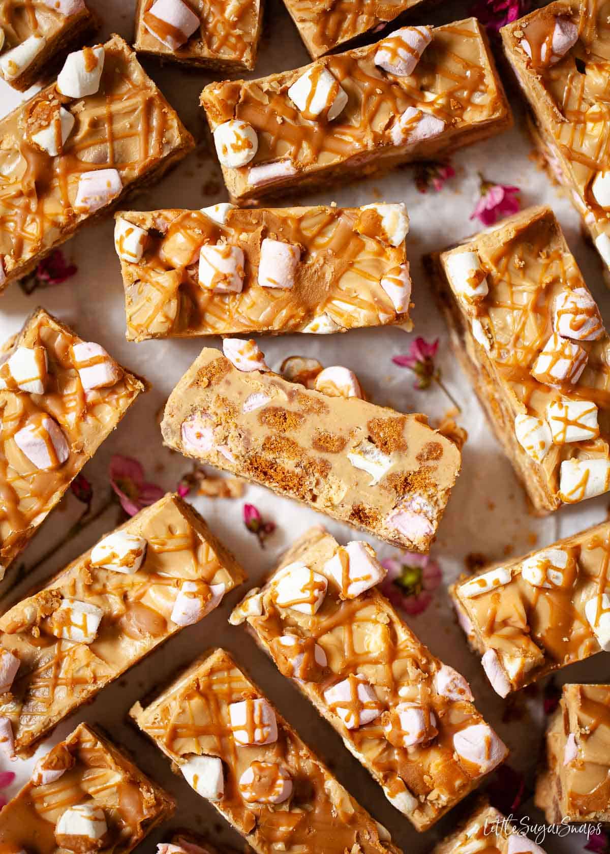 Close up of biscoff rocky road bars with marshmallows and cook pieces insde