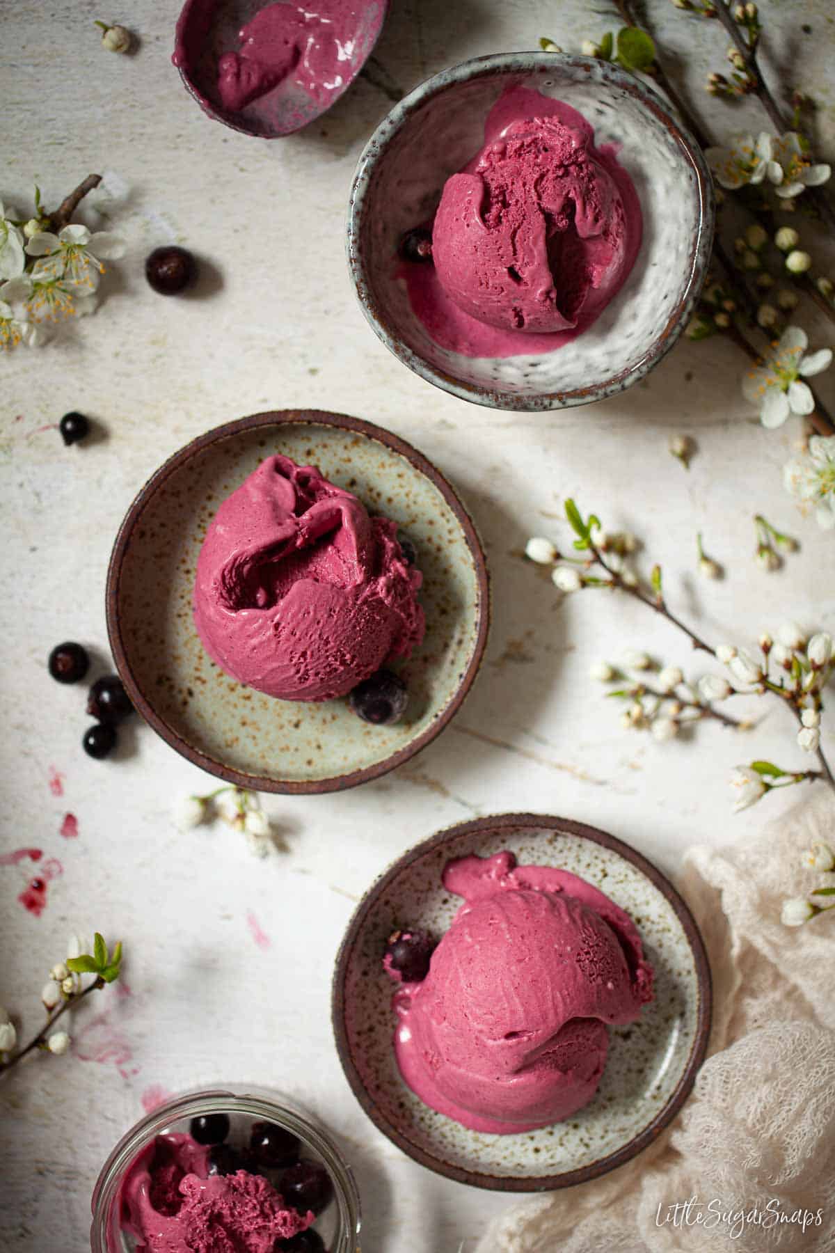 Single scoop servings of blackcurrant ice cream on a mixture of plates and bowls