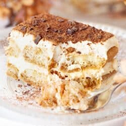 Close up of a slice of tiramisu dessert with a fork at the side.