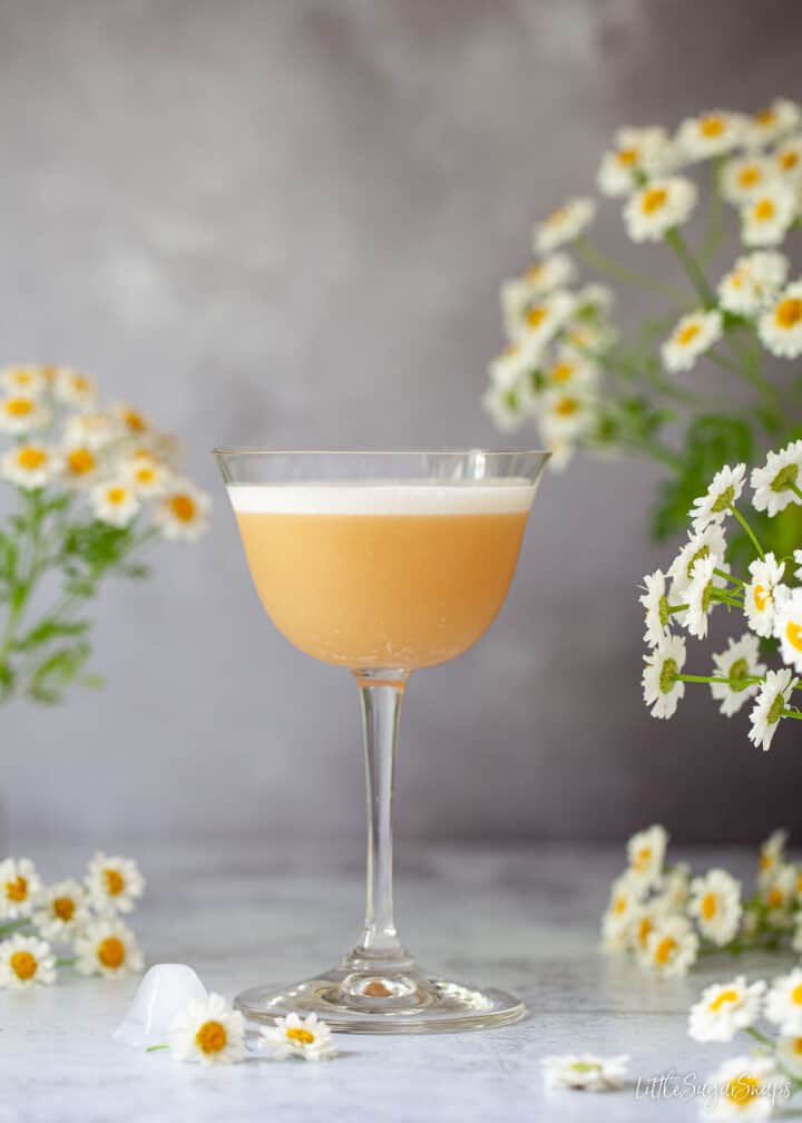 Disaronno Sour (Amaretto Sour) Little Sugar Snaps