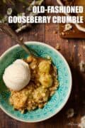 Gooseberry crumble & ice cream with text overlay