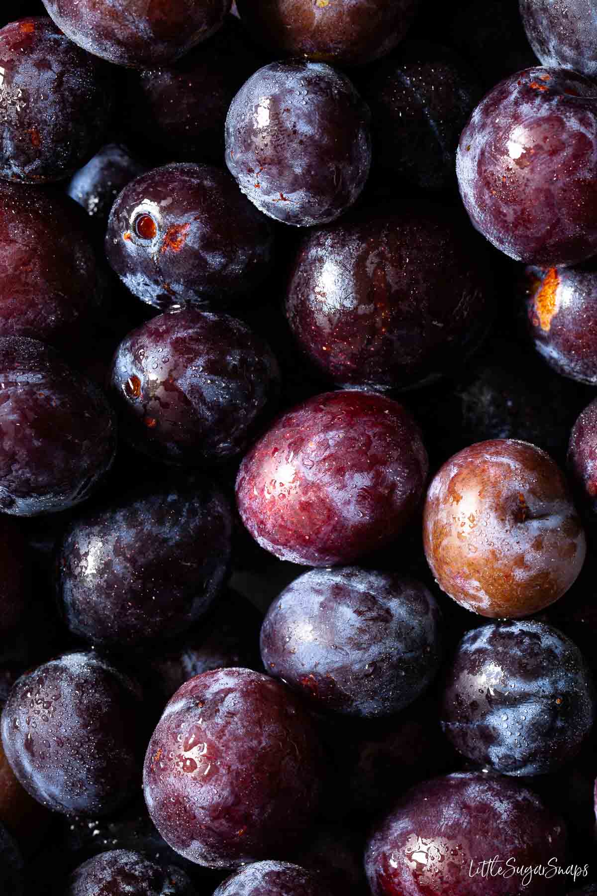 Close up of fresh damson plums