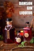 Damson gin liqueur with text overlay