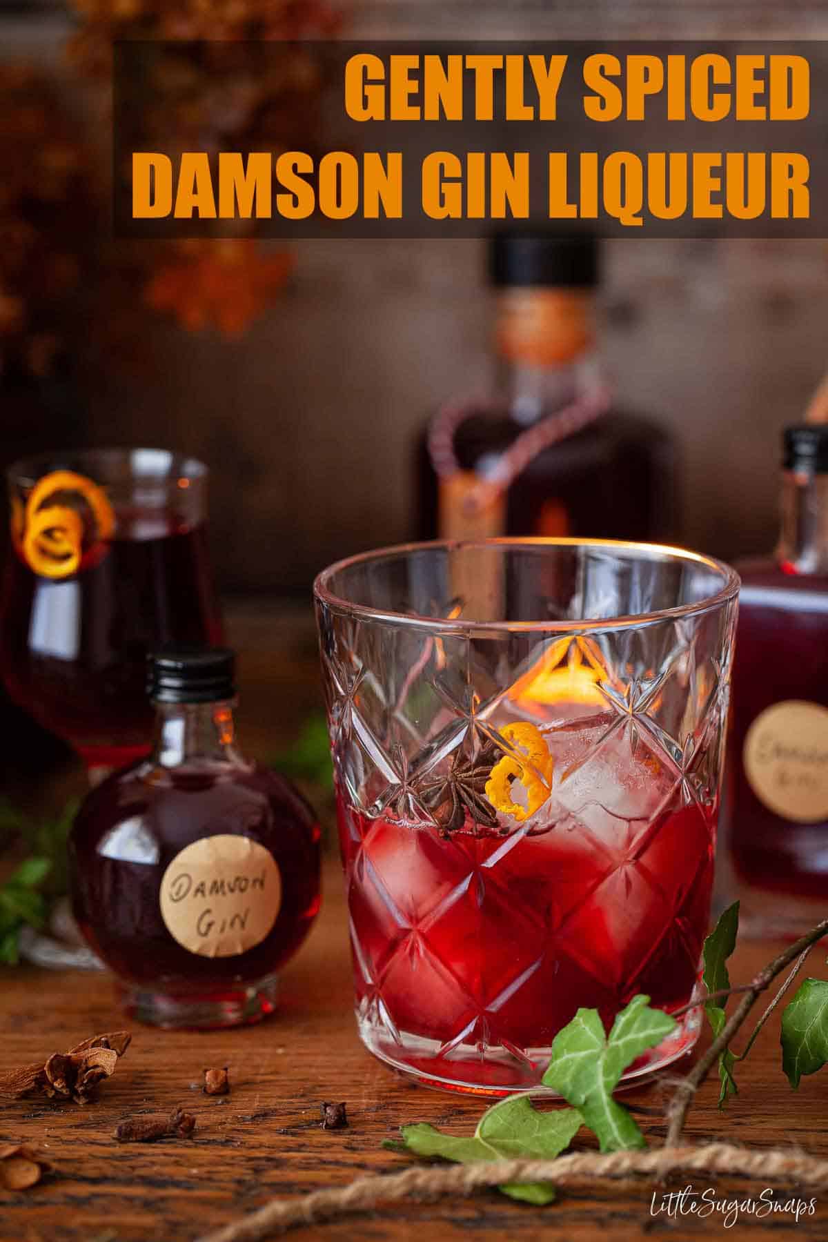 Damson Gin Liqueur Little Sugar Snaps