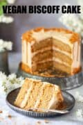 Vegan Biscoff Cake - with text overlay