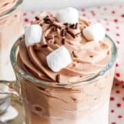 Whipped chocolate drink topped with mini marshmallows.