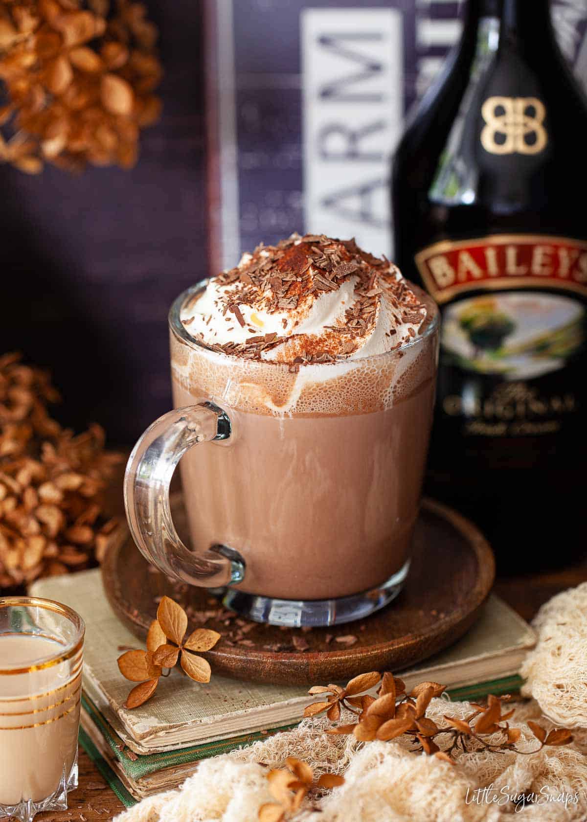 A mug of cream topped Hot Chocolate with Baileys with a bottle of Irish Cream.