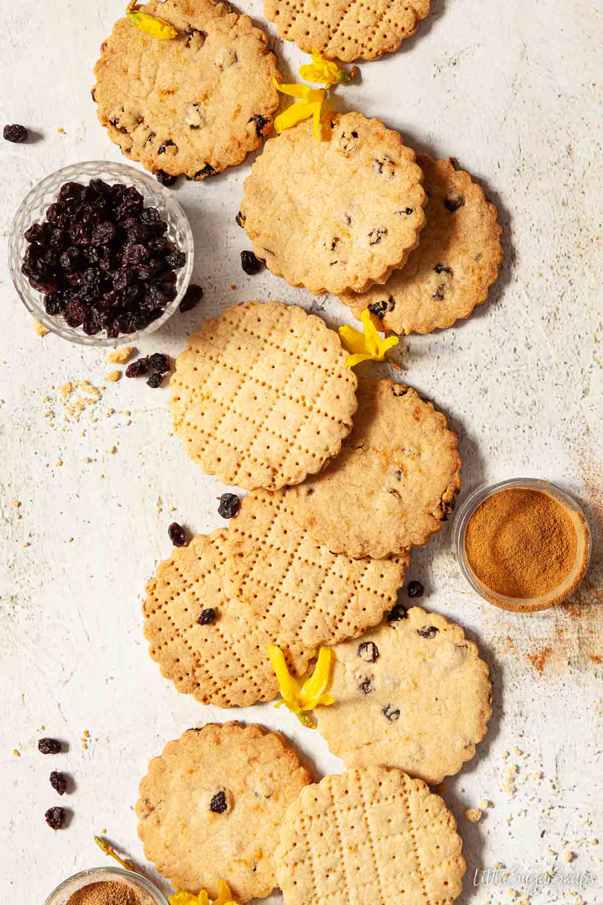 Shrewsbury biscuits on a worktop - some with currants and some with a pattern on top.