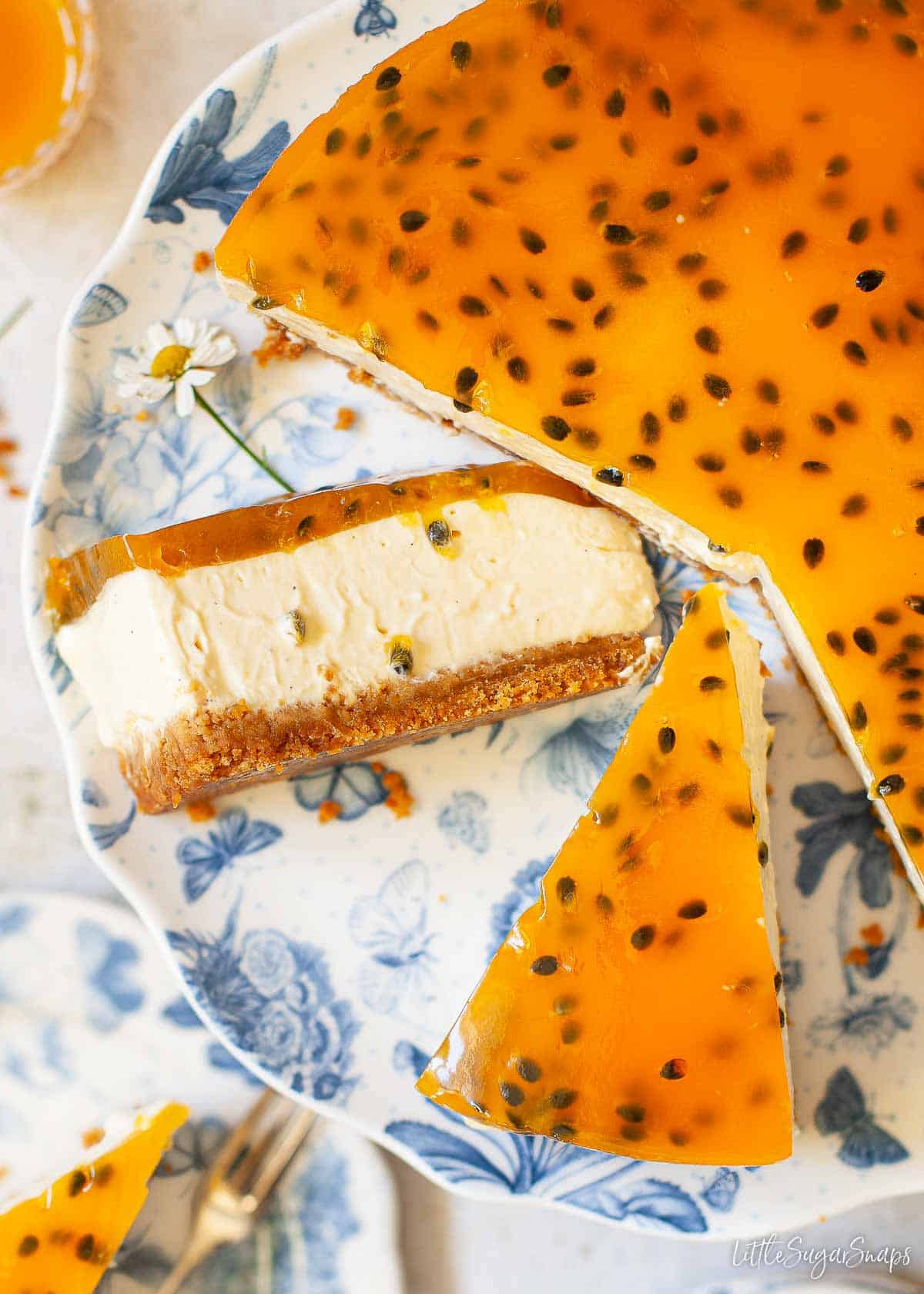 Slices of tropical passionfruit cheesecake with a jelly topping.