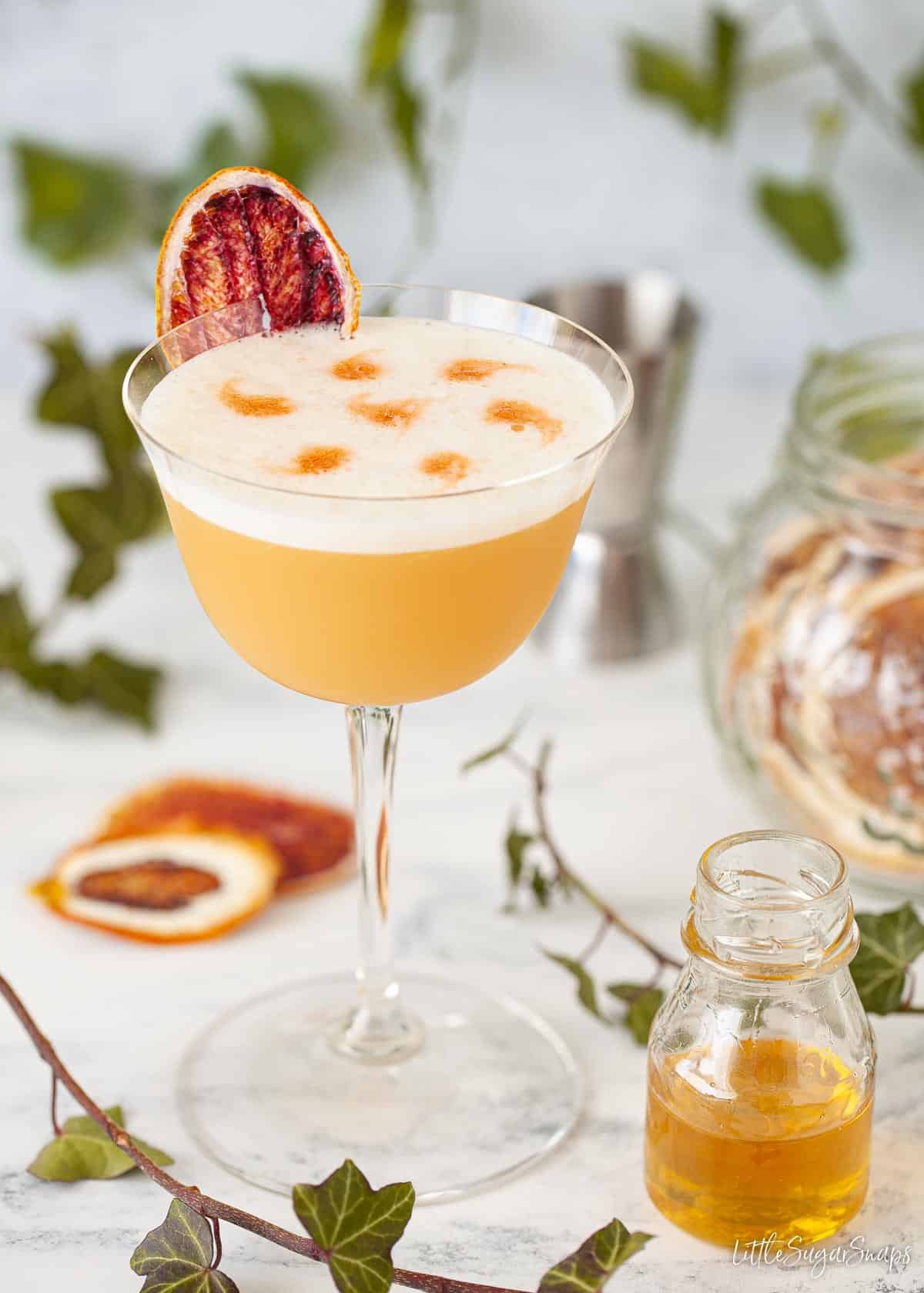 Dehydrated Rum Cocktails Mix - DIY Fruit Infused Cocktails in a