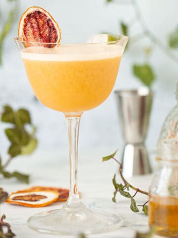 Close up of a rum sour cocktail with egg white foam garnish.