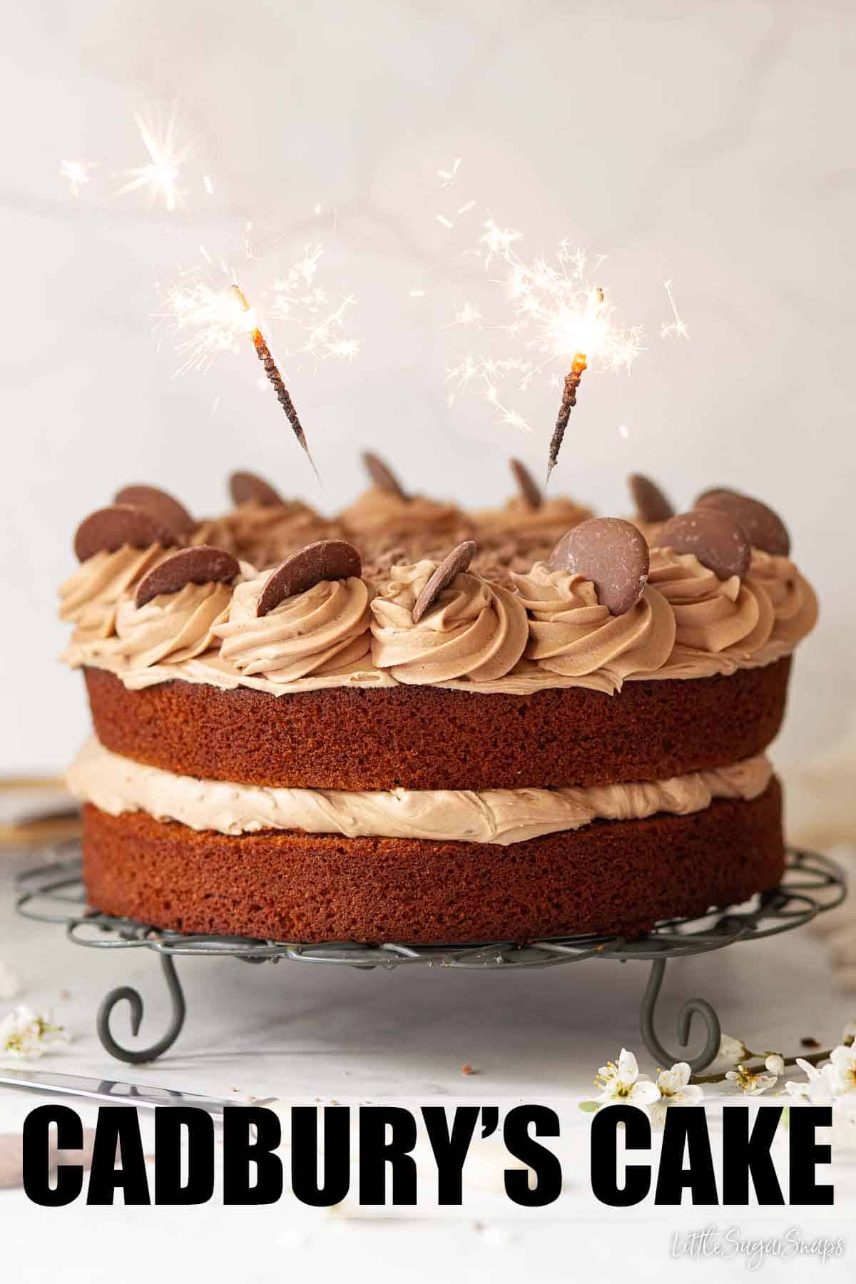 Cadbury's Dairy Milk Cake Little Sugar Snaps