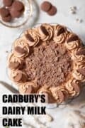 A whole Cadbury's Dairy Milk cake topped with buttercream and buttons with text overlay.