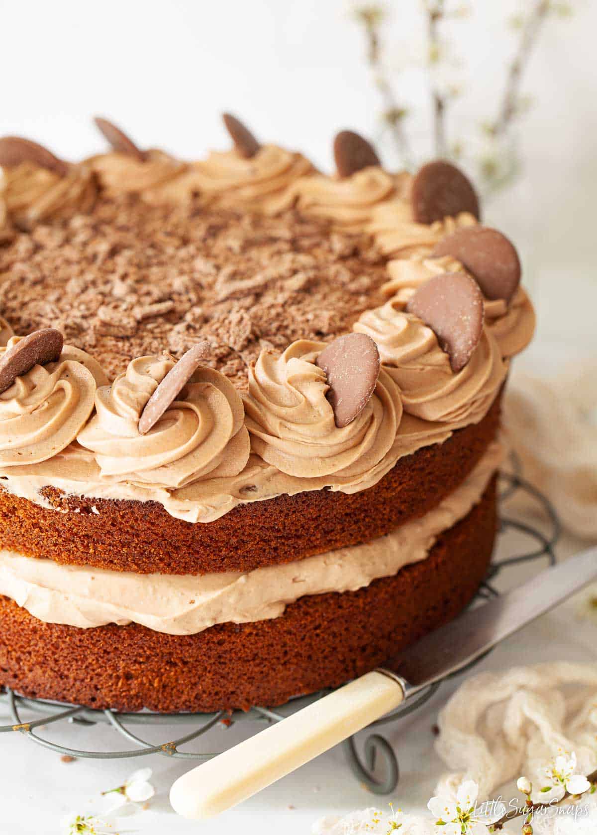 Close up of a Dairy Milk chocolate cake with buttercream, Flake and Cadbury's Giant Buttons