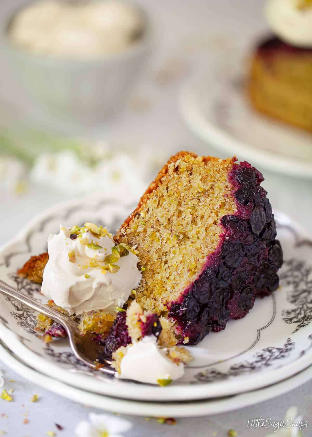 A slice of blackcurrant cake with whipped cream and chopped pistachio nuts.