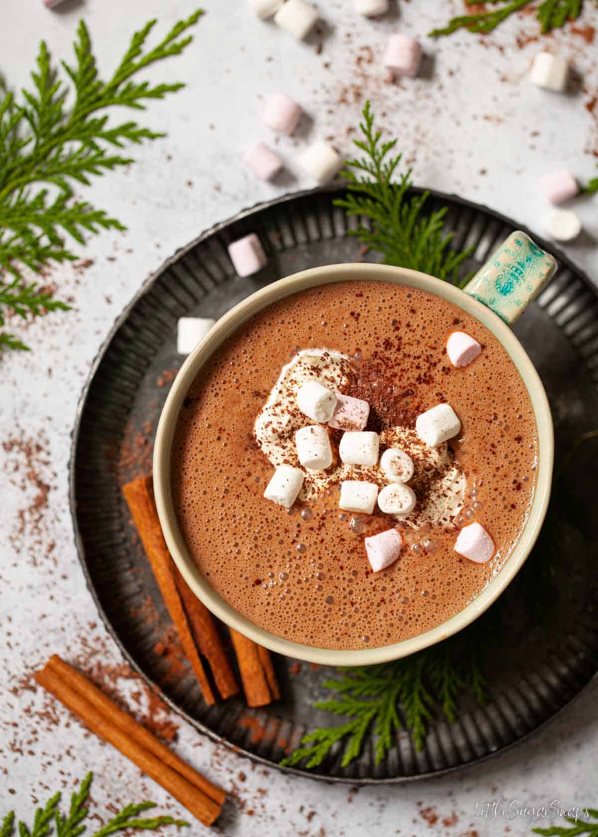 Overhead view of cinnamon hot chocolate topped with cream and mini marshmallows.