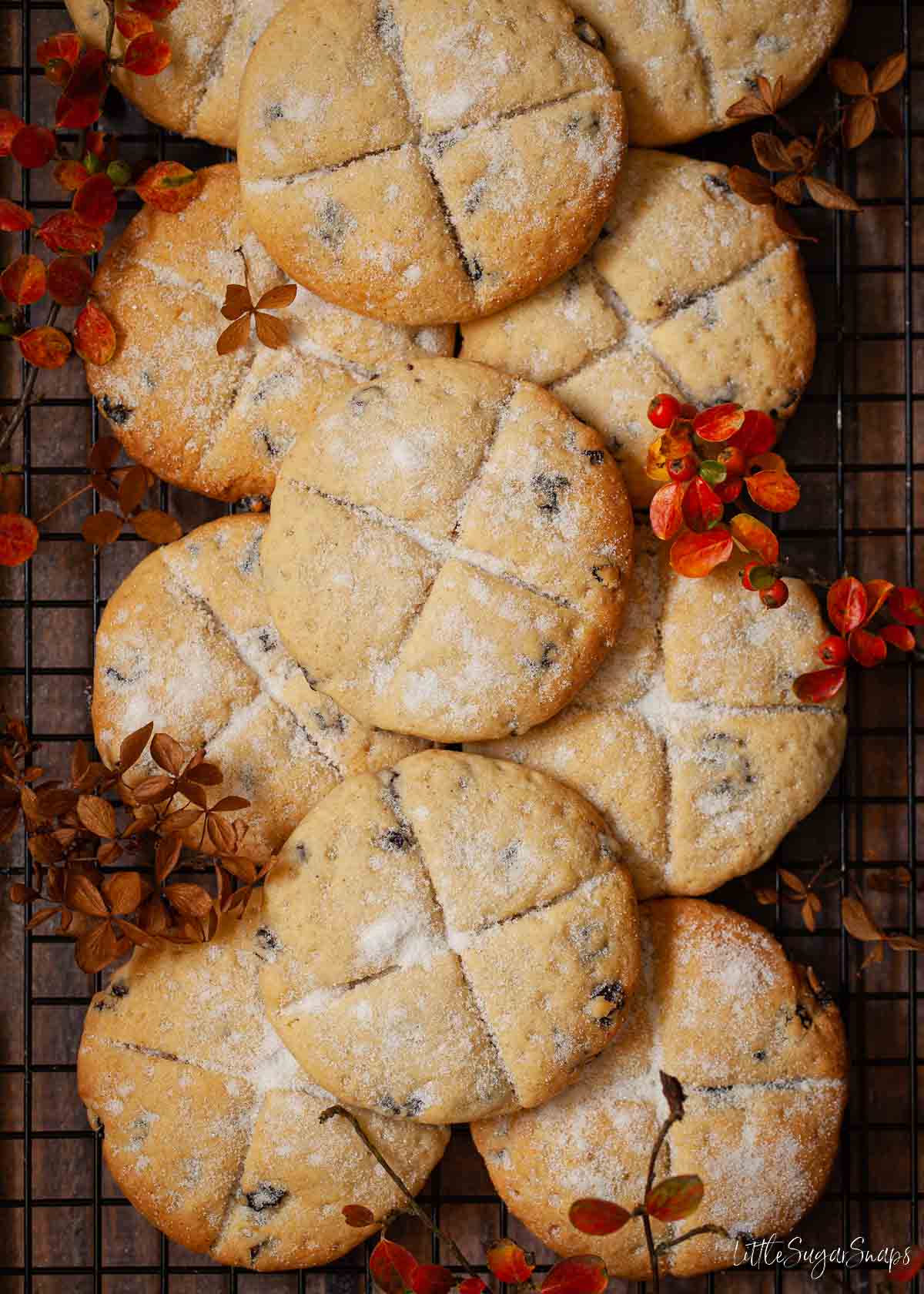 A wire rack full of Shropshire soul cakes and decorated with autumn foliage.