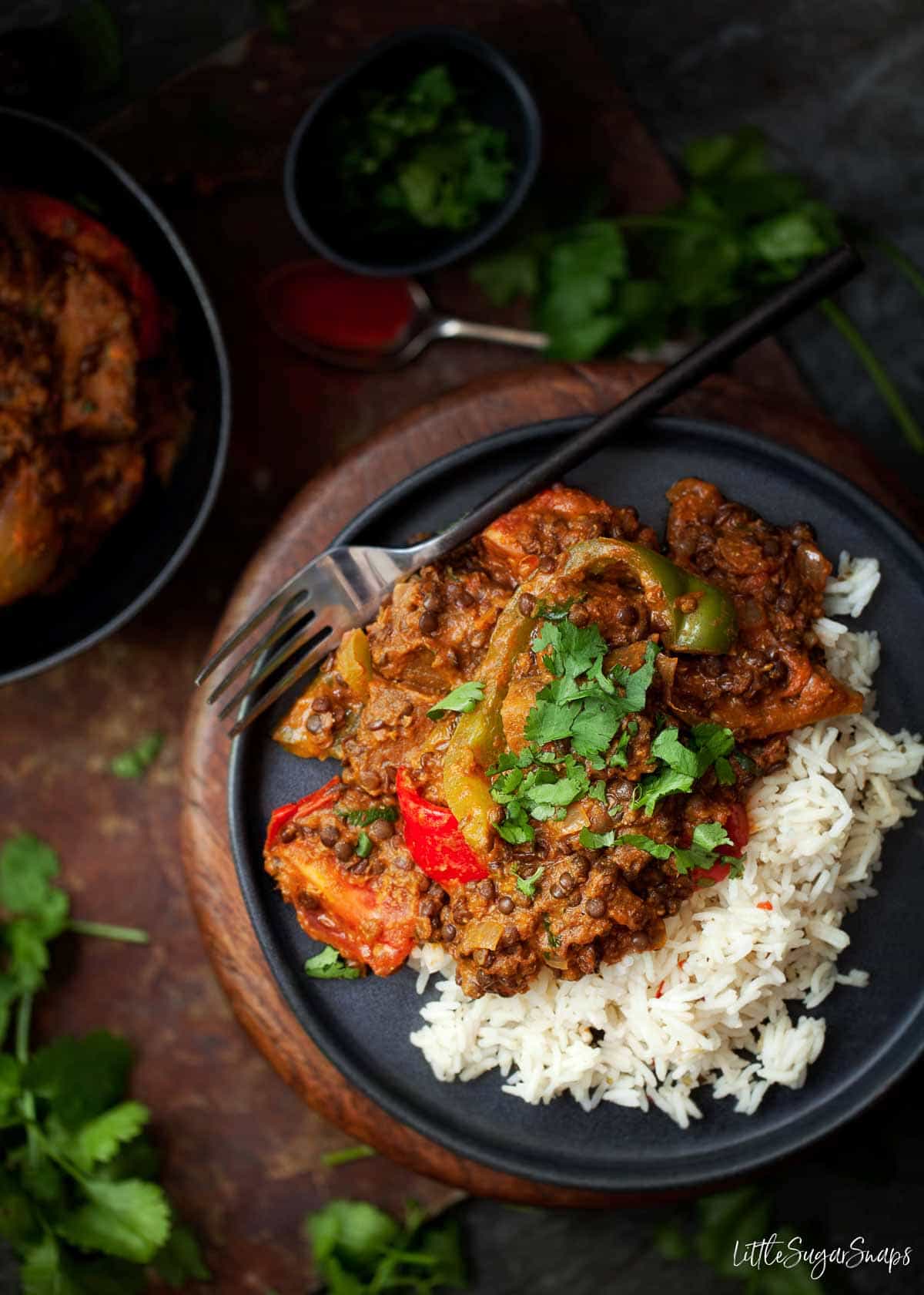 A plate of rogan josh aubergine curry and basmati rice garnished with coriander.