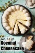 Labeled image of a no bake coconut cheesecake.