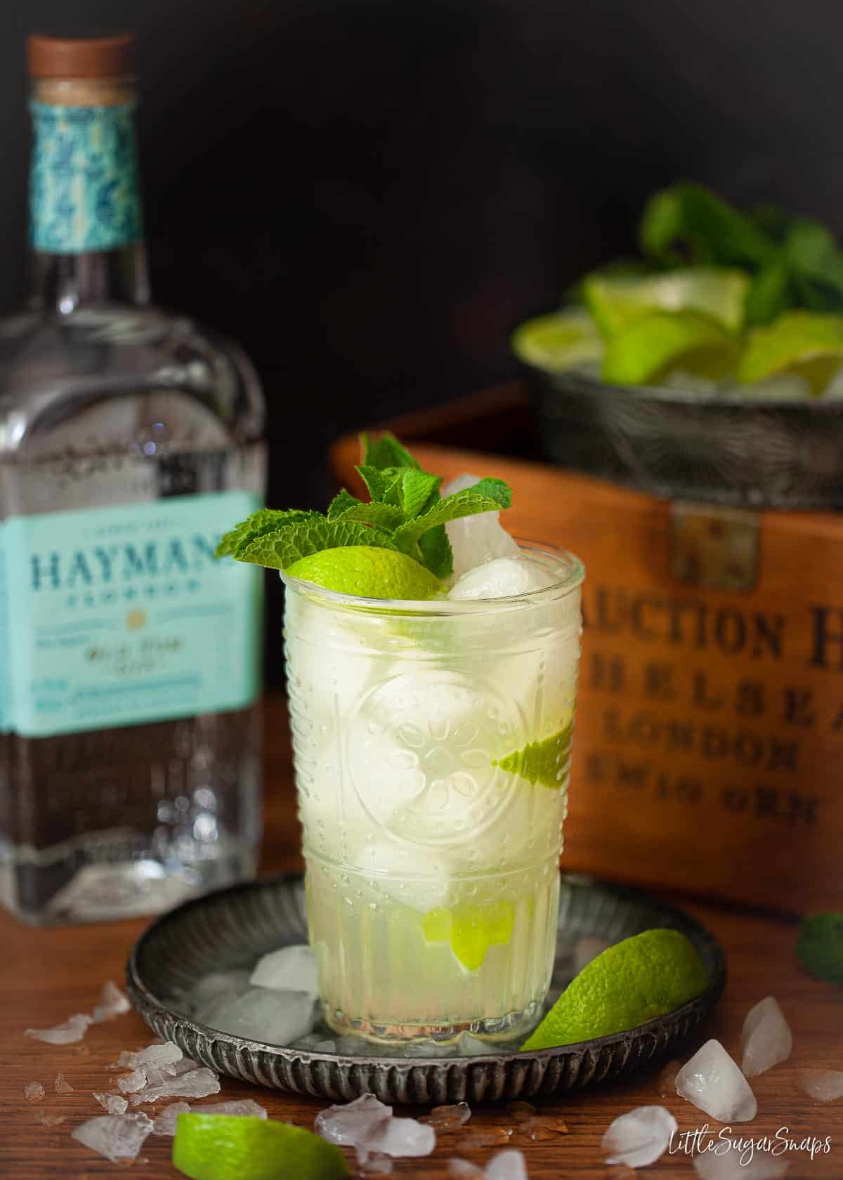 A Foghorn cocktail in a glass with lime and mint garnish and a gin bottle beside it.