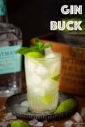 Labeled image of a gin buck cocktail served in a highball glass.