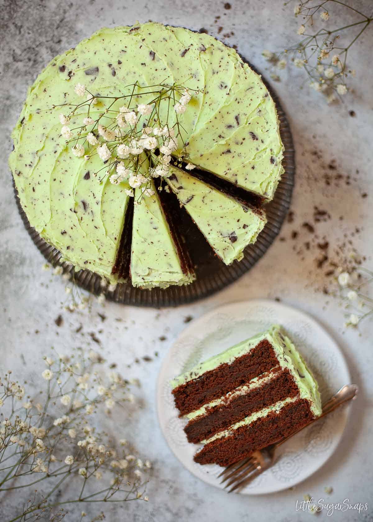 A chocolate mint cake with slices cut from it and a slice on a plate.