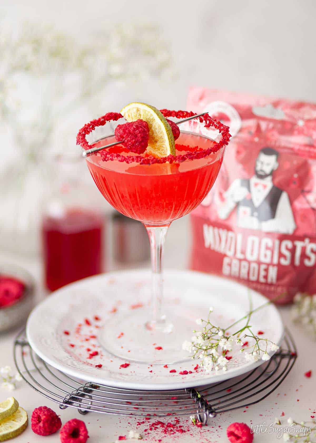 A raspberry margarita cocktail with dried fruit garnish on the rim and cocktail pick.