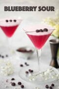 Two blueberry gin cocktails garnished with freeze-dried fruit on cocktail picks with text overlay.