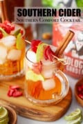 Sparkling cider & Southern Comfort cocktail garnished with cinnamon and freeze-dried fruit.