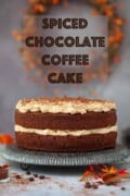 Labelled image of a mocha cake topped with coffee flavoured whipped cream.