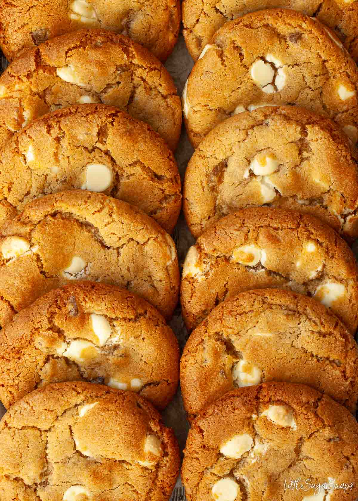 Soft stem ginger cookies with white chocolate chips.