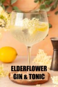 Labelled summer gin cocktail in a Copa glass garnished with lemon wedges and elderflowers.