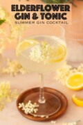 Labelled elderflower gin & tonic in a Copa glass garnished with lemon wedges and elderflowers.