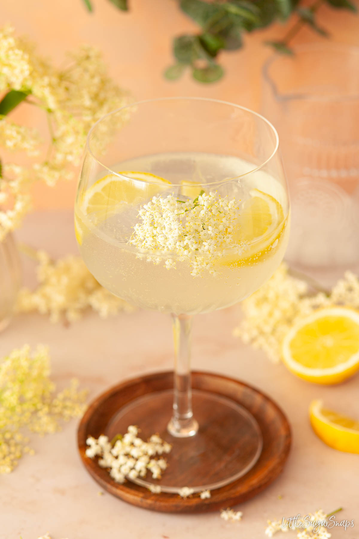 Elderflower gin and tonic garnished with fresh elderflowers and lemon wedges.