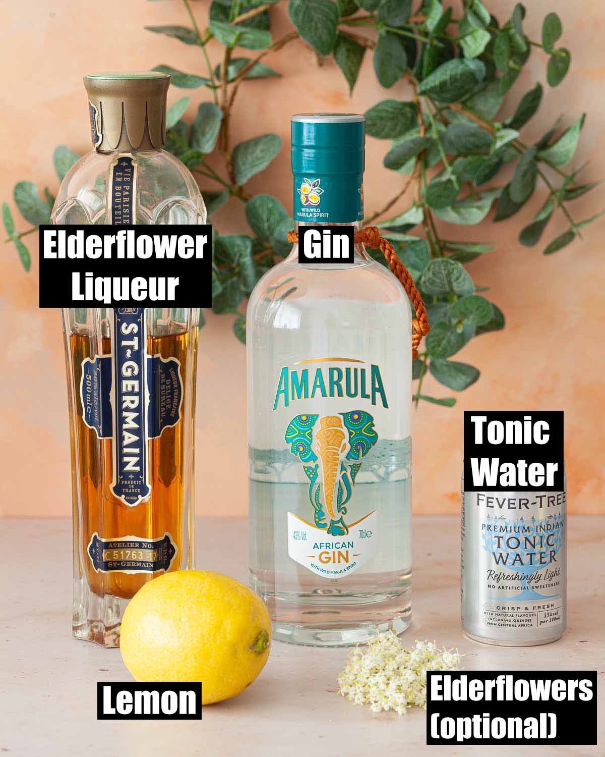 Labelled ingredients for and elderflower gin and tonic.