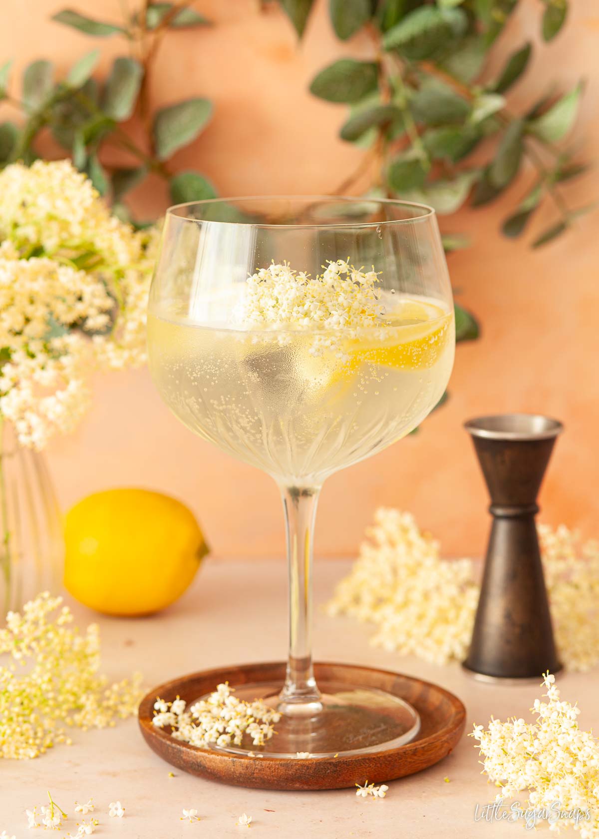 Summer gin cocktail in a Copa glass garnished with lemon wedges and elderflowers.