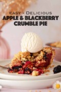 Labelled slice of apple blackberry crumble pie with vanilla ice cream on top.
